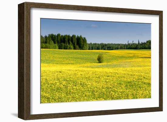 Fields at Varska, Estonia, Baltic States-Nico Tondini-Framed Photographic Print