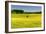 Fields at Varska, Estonia, Baltic States-Nico Tondini-Framed Photographic Print