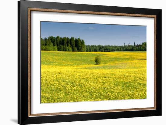 Fields at Varska, Estonia, Baltic States-Nico Tondini-Framed Photographic Print