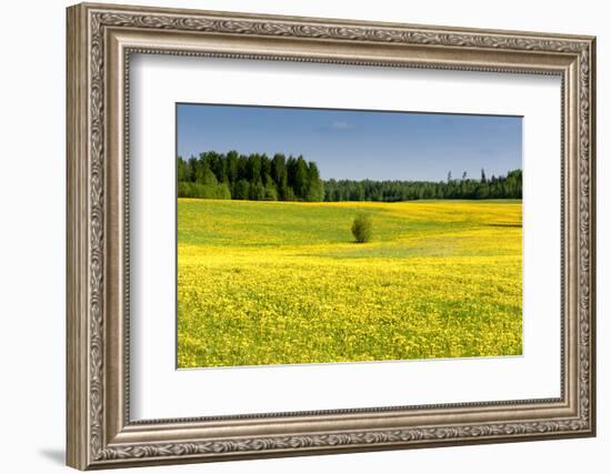 Fields at Varska, Estonia, Baltic States-Nico Tondini-Framed Photographic Print