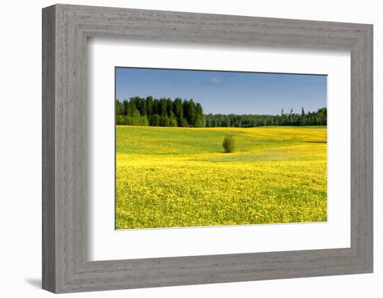 Fields at Varska, Estonia, Baltic States-Nico Tondini-Framed Photographic Print