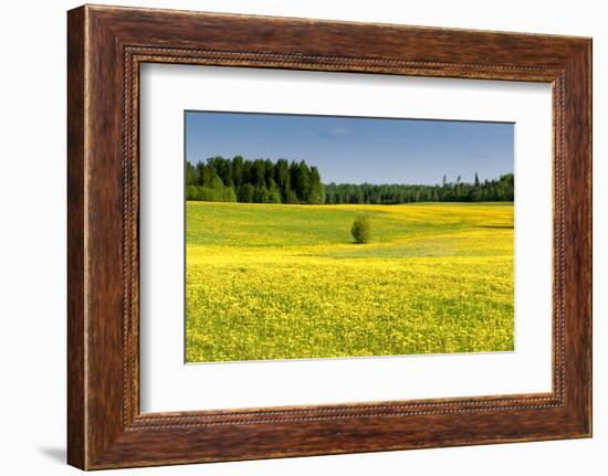 Fields at Varska, Estonia, Baltic States-Nico Tondini-Framed Photographic Print