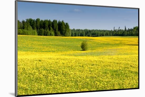 Fields at Varska, Estonia, Baltic States-Nico Tondini-Mounted Photographic Print