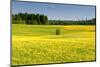 Fields at Varska, Estonia, Baltic States-Nico Tondini-Mounted Photographic Print