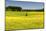 Fields at Varska, Estonia, Baltic States-Nico Tondini-Mounted Photographic Print