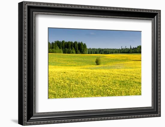 Fields at Varska, Estonia, Baltic States-Nico Tondini-Framed Photographic Print