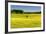 Fields at Varska, Estonia, Baltic States-Nico Tondini-Framed Photographic Print