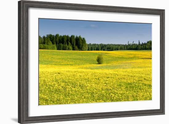 Fields at Varska, Estonia, Baltic States-Nico Tondini-Framed Photographic Print