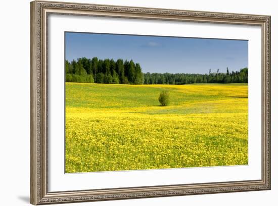 Fields at Varska, Estonia, Baltic States-Nico Tondini-Framed Photographic Print