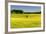 Fields at Varska, Estonia, Baltic States-Nico Tondini-Framed Photographic Print