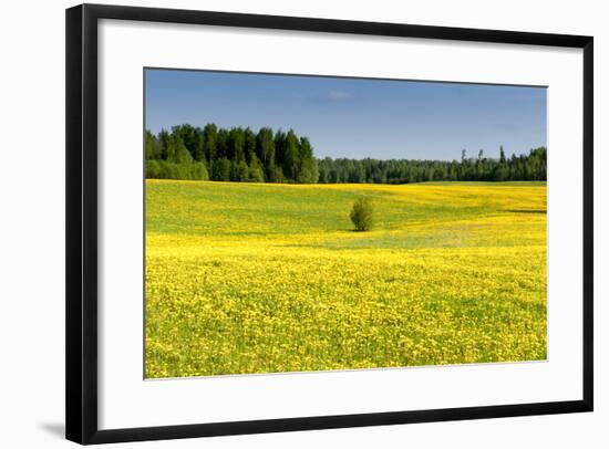 Fields at Varska, Estonia, Baltic States-Nico Tondini-Framed Photographic Print