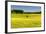 Fields at Varska, Estonia, Baltic States-Nico Tondini-Framed Photographic Print