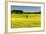 Fields at Varska, Estonia, Baltic States-Nico Tondini-Framed Photographic Print