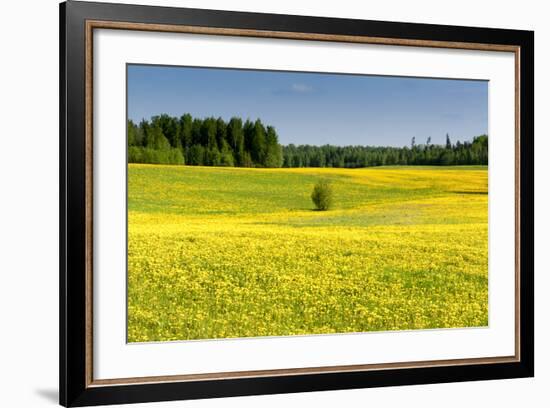 Fields at Varska, Estonia, Baltic States-Nico Tondini-Framed Photographic Print