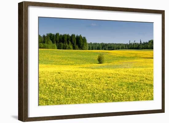 Fields at Varska, Estonia, Baltic States-Nico Tondini-Framed Photographic Print