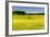 Fields at Varska, Estonia, Baltic States-Nico Tondini-Framed Photographic Print