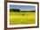 Fields at Varska, Estonia, Baltic States-Nico Tondini-Framed Photographic Print