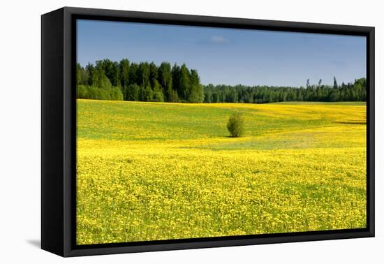 Fields at Varska, Estonia, Baltic States-Nico Tondini-Framed Premier Image Canvas