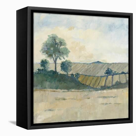 Fields before the Storm-Avery Tillmon-Framed Stretched Canvas