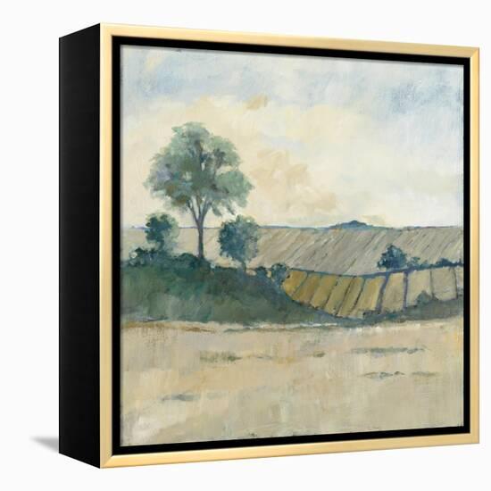 Fields before the Storm-Avery Tillmon-Framed Stretched Canvas