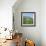 Fields Below the Town of Ortona Dei Marsi in Abruzzo, Italy, Europe-Tony Gervis-Framed Photographic Print displayed on a wall