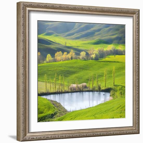 Fields by the Pond-Marcin Sobas-Framed Photographic Print