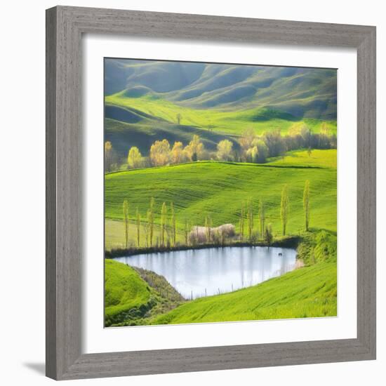 Fields by the Pond-Marcin Sobas-Framed Photographic Print