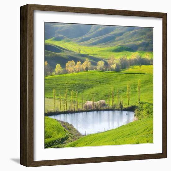 Fields by the Pond-Marcin Sobas-Framed Photographic Print