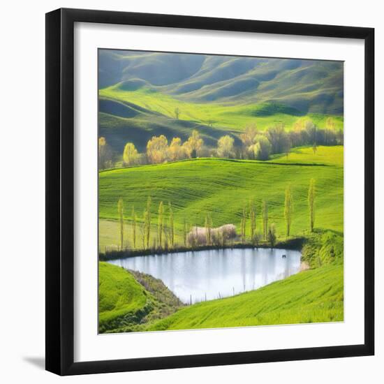 Fields by the Pond-Marcin Sobas-Framed Photographic Print