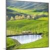 Fields by the Pond-Marcin Sobas-Mounted Photographic Print
