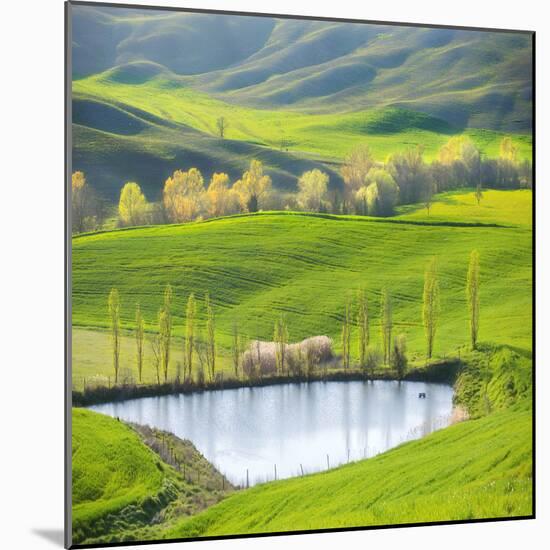 Fields by the Pond-Marcin Sobas-Mounted Photographic Print