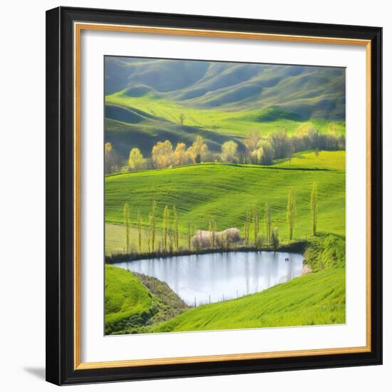 Fields by the Pond-Marcin Sobas-Framed Photographic Print