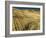 Fields during harvest-Terry Eggers-Framed Photographic Print