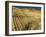 Fields during harvest-Terry Eggers-Framed Photographic Print