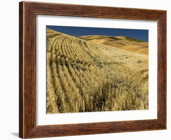 Fields during harvest-Terry Eggers-Framed Photographic Print