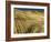 Fields during harvest-Terry Eggers-Framed Photographic Print