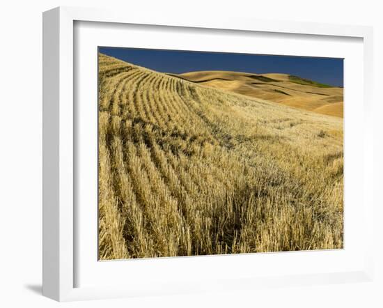 Fields during harvest-Terry Eggers-Framed Photographic Print