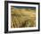 Fields during harvest-Terry Eggers-Framed Photographic Print