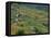 Fields, Farms and Houses in the Navia Valley, in Asturias, Spain, Europe-Maxwell Duncan-Framed Premier Image Canvas