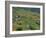 Fields, Farms and Houses in the Navia Valley, in Asturias, Spain, Europe-Maxwell Duncan-Framed Photographic Print