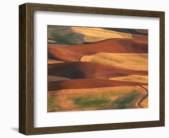 Fields in the Palouse-Darrell Gulin-Framed Photographic Print