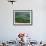 Fields in the Valleys, Near Brecon, Powys, Wales, United Kingdom-Roy Rainford-Framed Photographic Print displayed on a wall