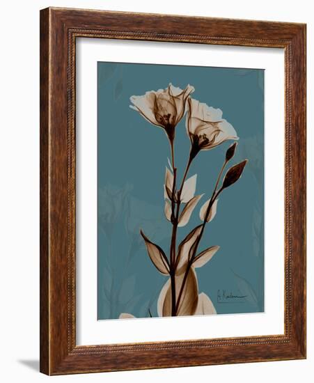 Fields of Blue II-Albert Koetsier-Framed Art Print