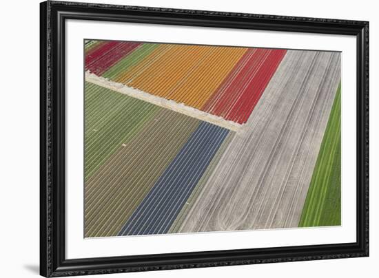 Fields of Colour II-Peter Adams-Framed Giclee Print