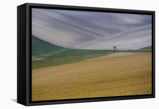 Fields of gold and silver-Valda Bailey-Framed Premier Image Canvas