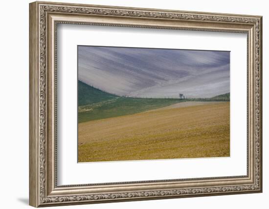 Fields of gold and silver-Valda Bailey-Framed Photographic Print