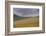 Fields of gold and silver-Valda Bailey-Framed Photographic Print