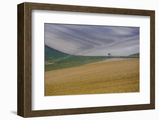 Fields of gold and silver-Valda Bailey-Framed Photographic Print