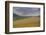 Fields of gold and silver-Valda Bailey-Framed Photographic Print