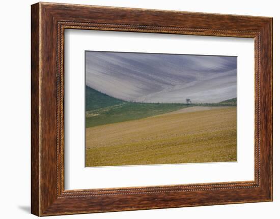 Fields of gold and silver-Valda Bailey-Framed Photographic Print